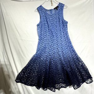 Chetta B Blue Navy Ombre Sleeveless Lace Zip Back Unlined Dress Size 12
